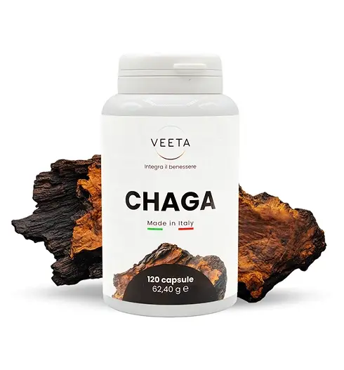 Chaga