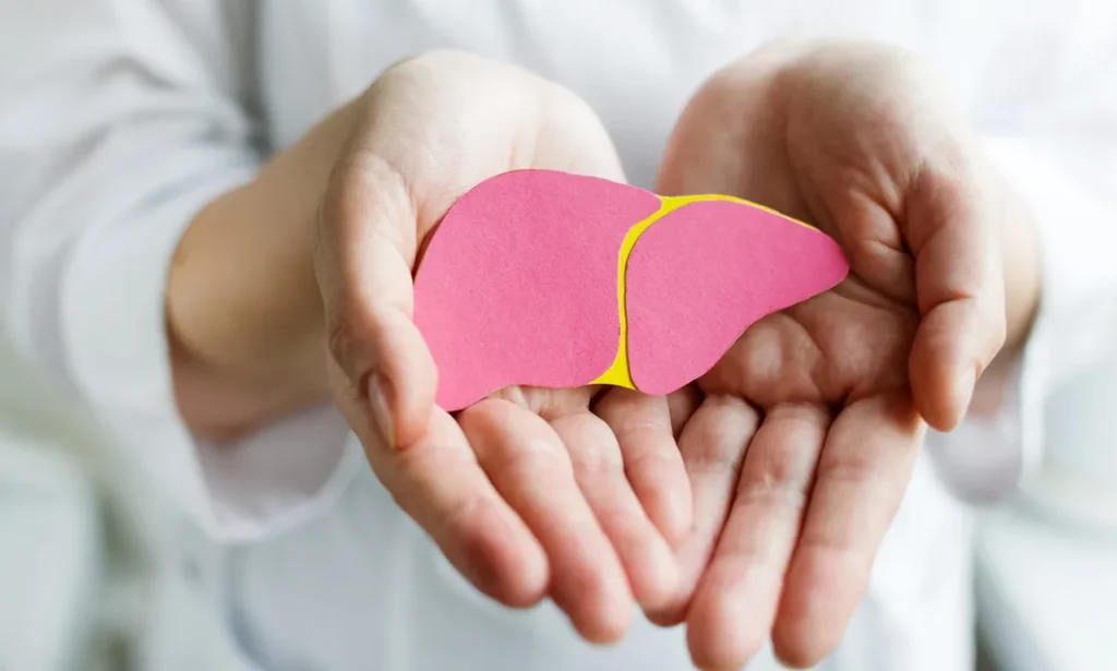 donna che tiene tra le mani un fegato stilizzato in cartoncino